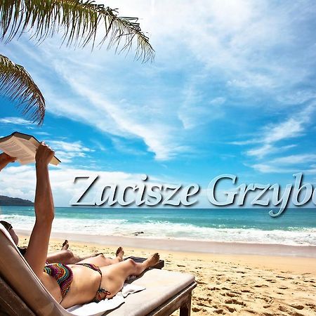 Ferienwohnung Zacisze Grzybowo Grzybowo  Exterior foto